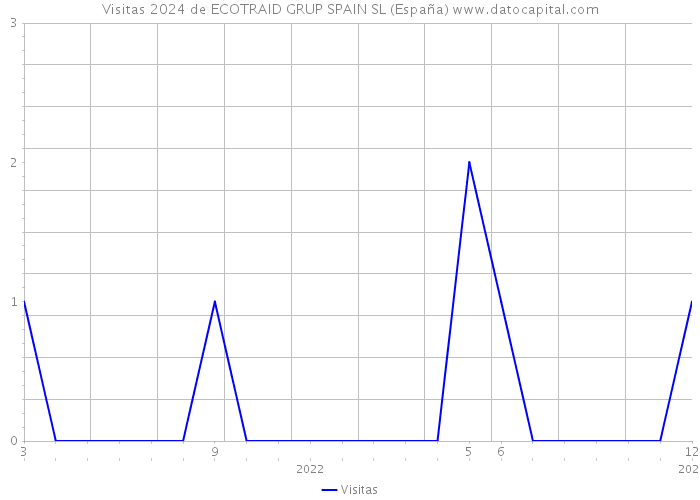 Visitas 2024 de ECOTRAID GRUP SPAIN SL (España) 