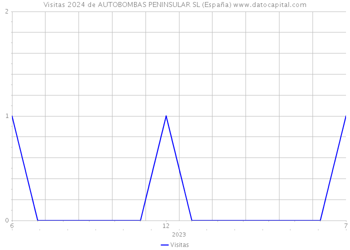 Visitas 2024 de AUTOBOMBAS PENINSULAR SL (España) 