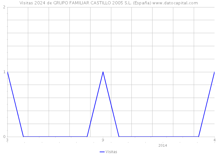 Visitas 2024 de GRUPO FAMILIAR CASTILLO 2005 S.L. (España) 