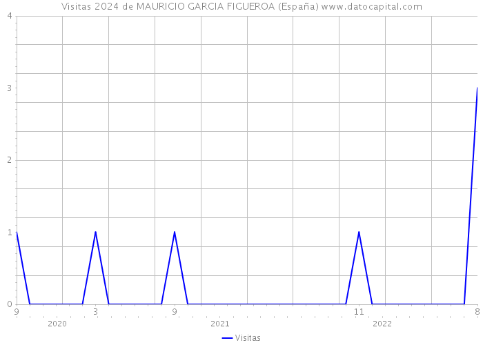 Visitas 2024 de MAURICIO GARCIA FIGUEROA (España) 