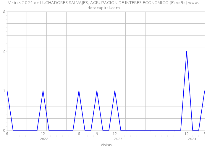 Visitas 2024 de LUCHADORES SALVAJES, AGRUPACION DE INTERES ECONOMICO (España) 