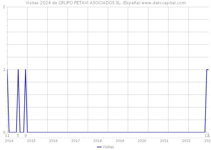 Visitas 2024 de GRUPO PETAVI ASOCIADOS SL. (España) 