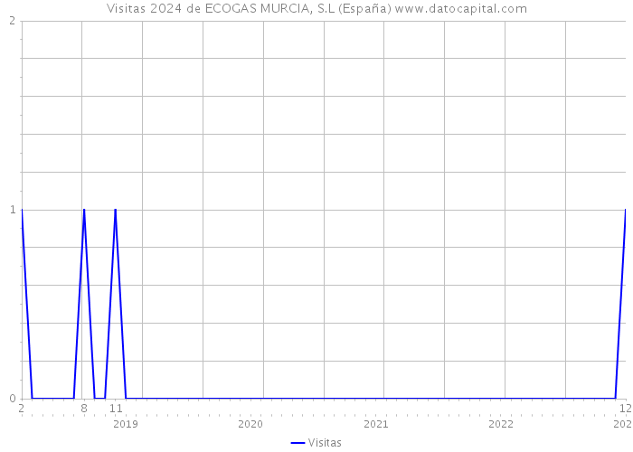 Visitas 2024 de ECOGAS MURCIA, S.L (España) 
