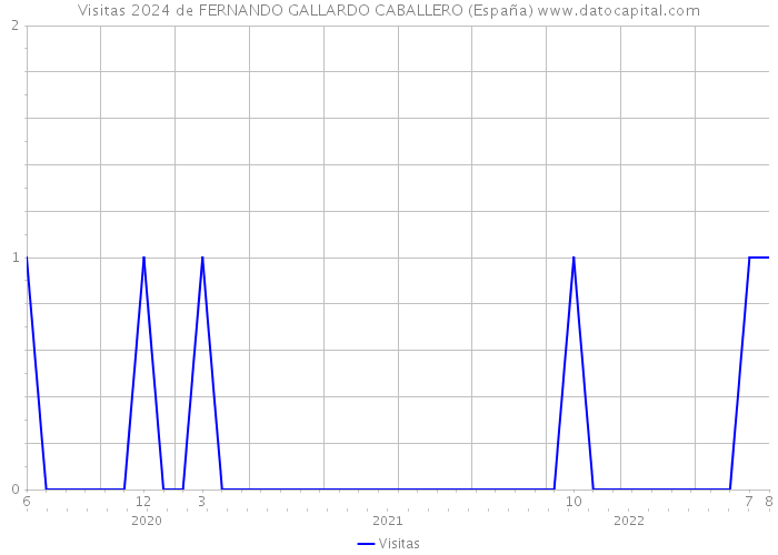 Visitas 2024 de FERNANDO GALLARDO CABALLERO (España) 