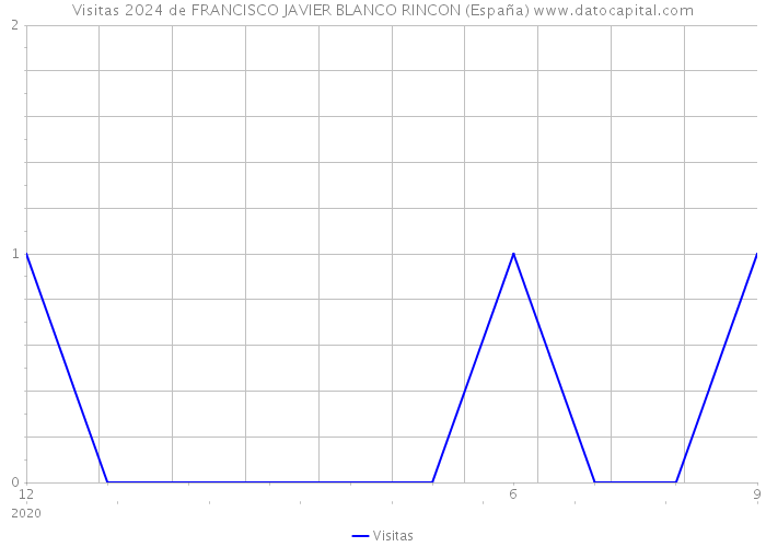 Visitas 2024 de FRANCISCO JAVIER BLANCO RINCON (España) 
