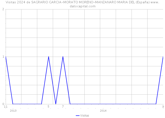 Visitas 2024 de SAGRARIO GARCIA-MORATO MORENO-MANZANARO MARIA DEL (España) 