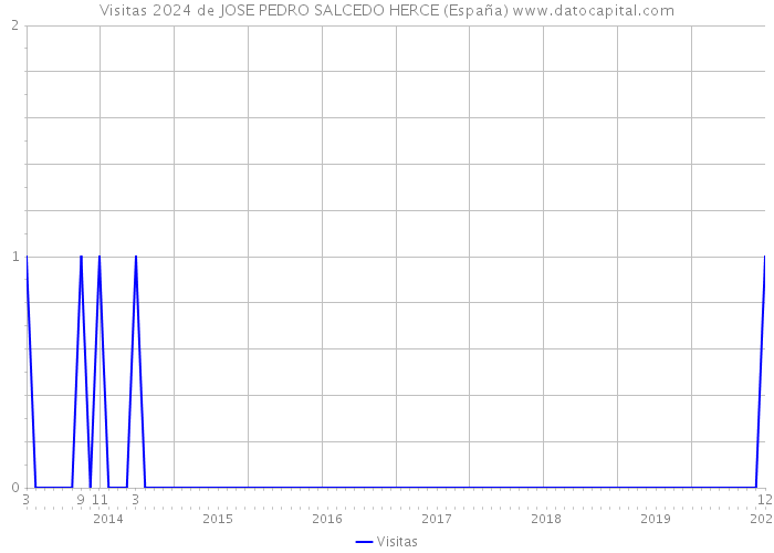 Visitas 2024 de JOSE PEDRO SALCEDO HERCE (España) 