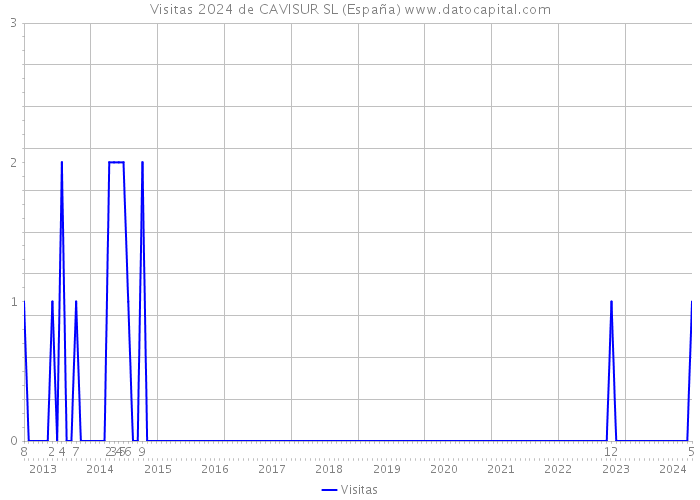Visitas 2024 de CAVISUR SL (España) 