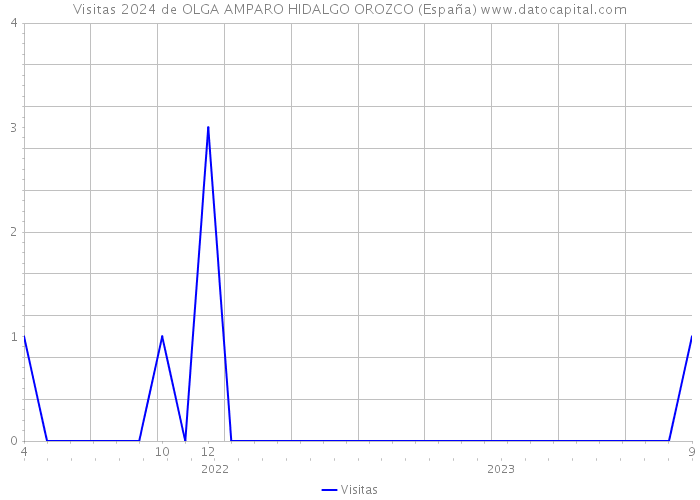 Visitas 2024 de OLGA AMPARO HIDALGO OROZCO (España) 