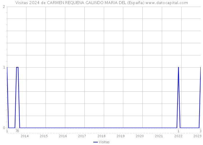 Visitas 2024 de CARMEN REQUENA GALINDO MARIA DEL (España) 