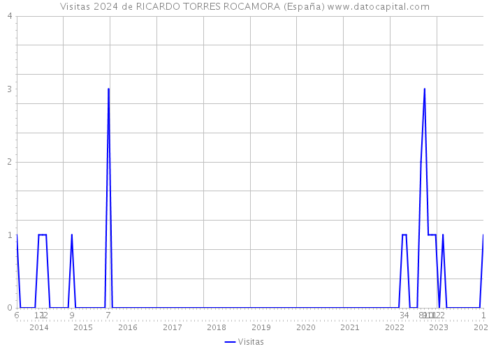 Visitas 2024 de RICARDO TORRES ROCAMORA (España) 