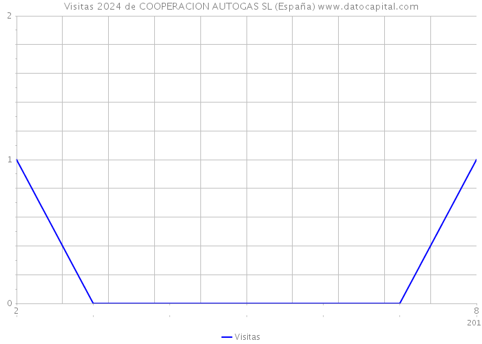 Visitas 2024 de COOPERACION AUTOGAS SL (España) 
