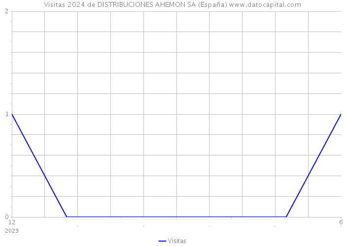 Visitas 2024 de DISTRIBUCIONES AHEMON SA (España) 