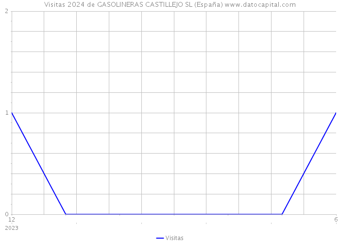 Visitas 2024 de GASOLINERAS CASTILLEJO SL (España) 