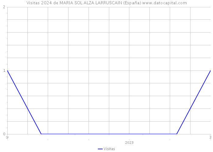 Visitas 2024 de MARIA SOL ALZA LARRUSCAIN (España) 