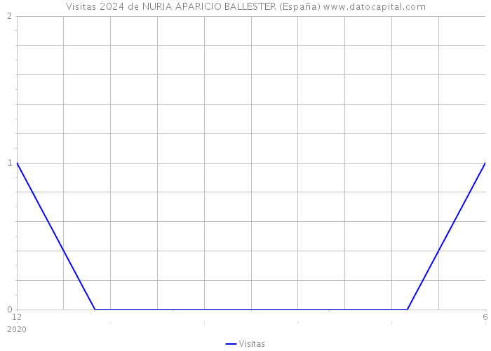 Visitas 2024 de NURIA APARICIO BALLESTER (España) 