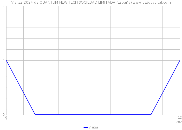 Visitas 2024 de QUANTUM NEW TECH SOCIEDAD LIMITADA (España) 