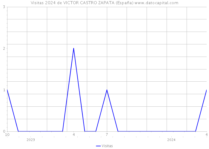 Visitas 2024 de VICTOR CASTRO ZAPATA (España) 