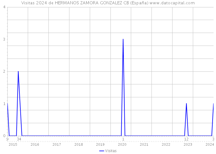 Visitas 2024 de HERMANOS ZAMORA GONZALEZ CB (España) 