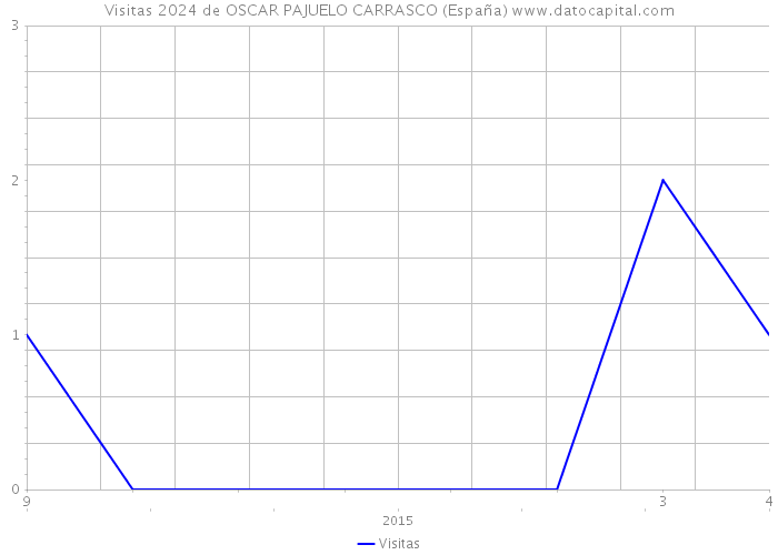 Visitas 2024 de OSCAR PAJUELO CARRASCO (España) 
