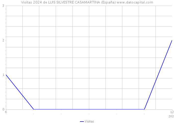 Visitas 2024 de LUIS SILVESTRE CASAMARTINA (España) 