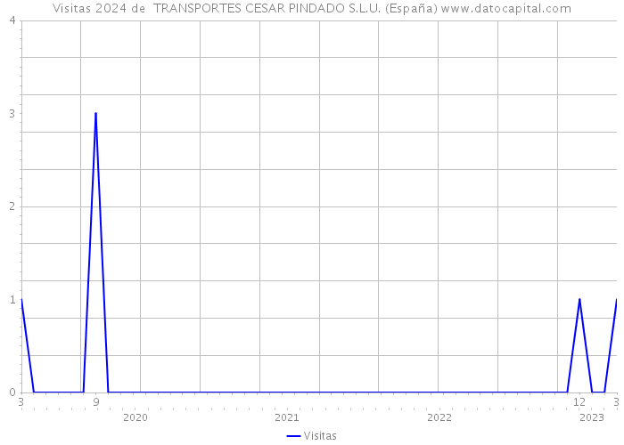 Visitas 2024 de  TRANSPORTES CESAR PINDADO S.L.U. (España) 