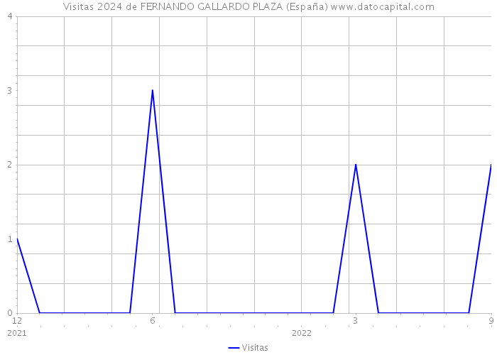 Visitas 2024 de FERNANDO GALLARDO PLAZA (España) 