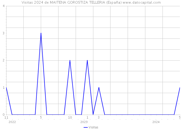 Visitas 2024 de MAITENA GOROSTIZA TELLERIA (España) 