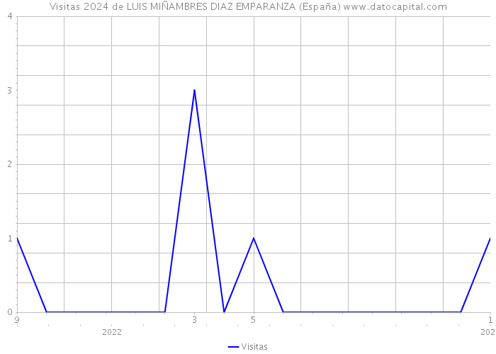 Visitas 2024 de LUIS MIÑAMBRES DIAZ EMPARANZA (España) 