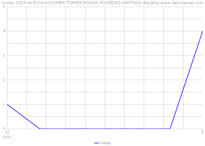 Visitas 2024 de EXCAVACIONES TORRES MOLINA SOCIEDAD LIMITADA (España) 