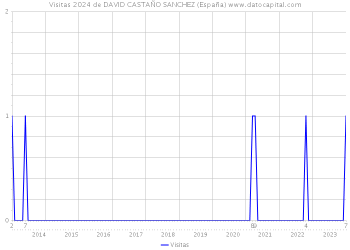 Visitas 2024 de DAVID CASTAÑO SANCHEZ (España) 
