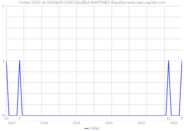 Visitas 2024 de JOAQUIN COSCULLUELA MARTINEZ (España) 