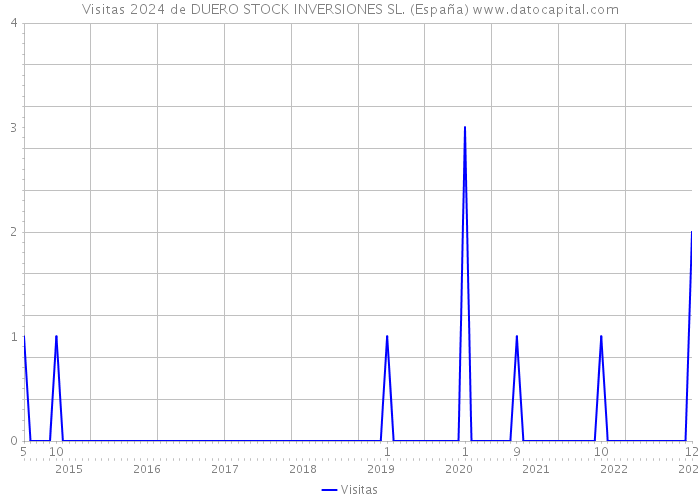 Visitas 2024 de DUERO STOCK INVERSIONES SL. (España) 