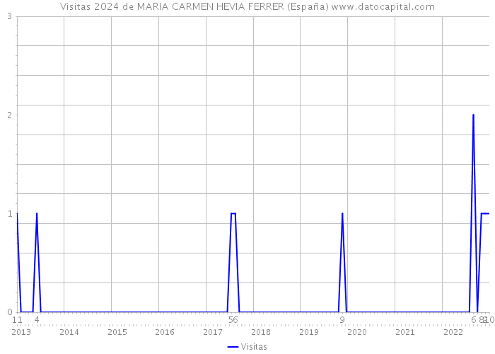 Visitas 2024 de MARIA CARMEN HEVIA FERRER (España) 