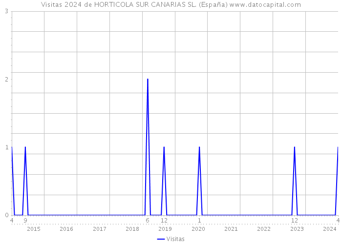 Visitas 2024 de HORTICOLA SUR CANARIAS SL. (España) 