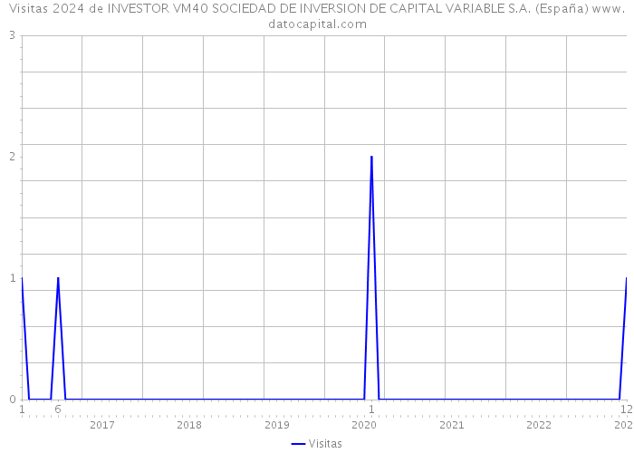 Visitas 2024 de INVESTOR VM40 SOCIEDAD DE INVERSION DE CAPITAL VARIABLE S.A. (España) 