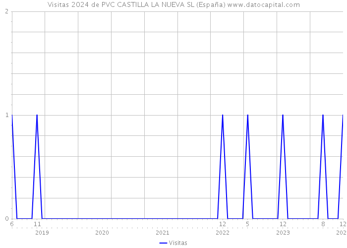 Visitas 2024 de PVC CASTILLA LA NUEVA SL (España) 