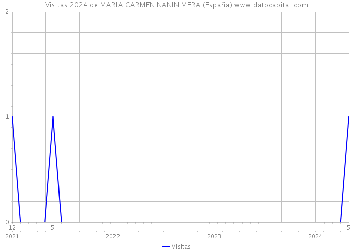 Visitas 2024 de MARIA CARMEN NANIN MERA (España) 