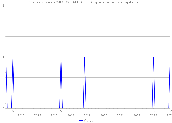 Visitas 2024 de WILCOX CAPITAL SL. (España) 