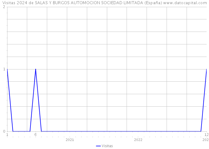 Visitas 2024 de SALAS Y BURGOS AUTOMOCION SOCIEDAD LIMITADA (España) 