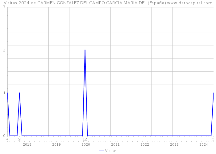 Visitas 2024 de CARMEN GONZALEZ DEL CAMPO GARCIA MARIA DEL (España) 