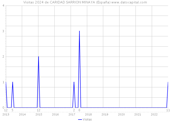 Visitas 2024 de CARIDAD SARRION MINAYA (España) 