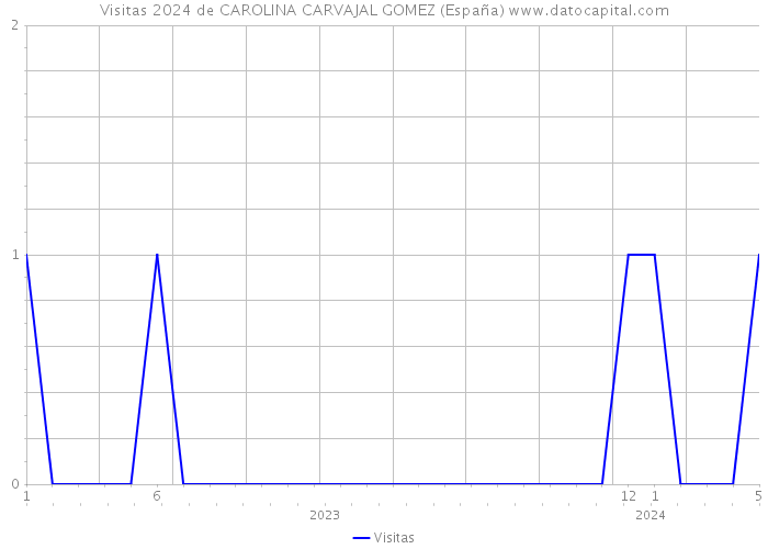 Visitas 2024 de CAROLINA CARVAJAL GOMEZ (España) 