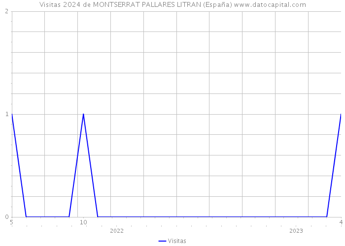 Visitas 2024 de MONTSERRAT PALLARES LITRAN (España) 