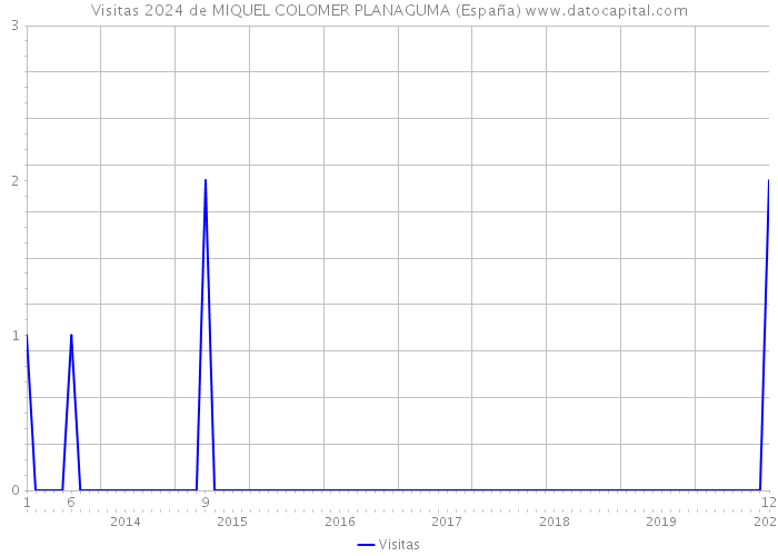 Visitas 2024 de MIQUEL COLOMER PLANAGUMA (España) 