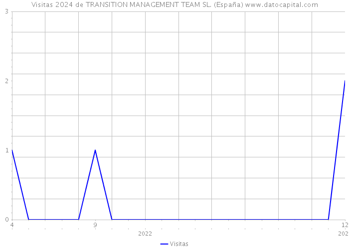 Visitas 2024 de TRANSITION MANAGEMENT TEAM SL. (España) 