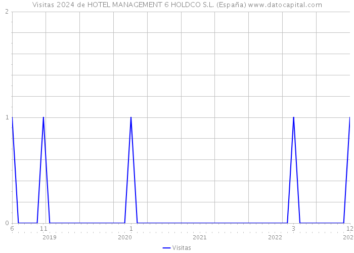 Visitas 2024 de HOTEL MANAGEMENT 6 HOLDCO S.L. (España) 