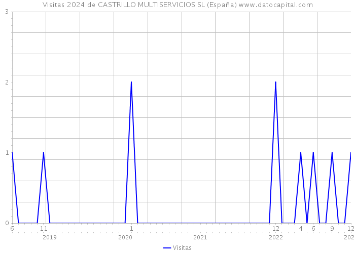Visitas 2024 de CASTRILLO MULTISERVICIOS SL (España) 