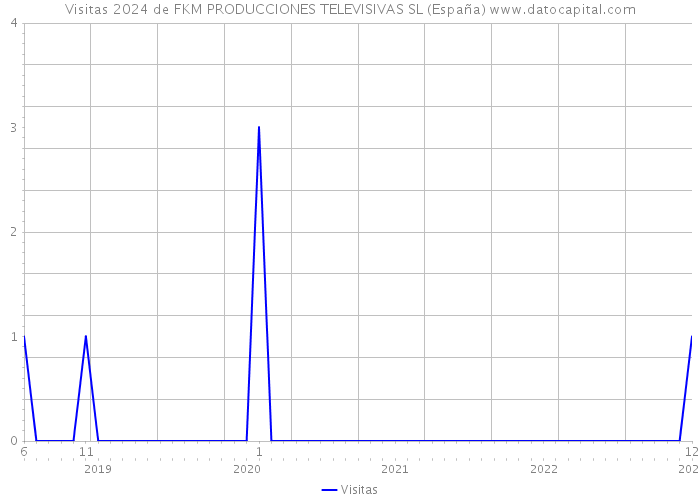 Visitas 2024 de FKM PRODUCCIONES TELEVISIVAS SL (España) 