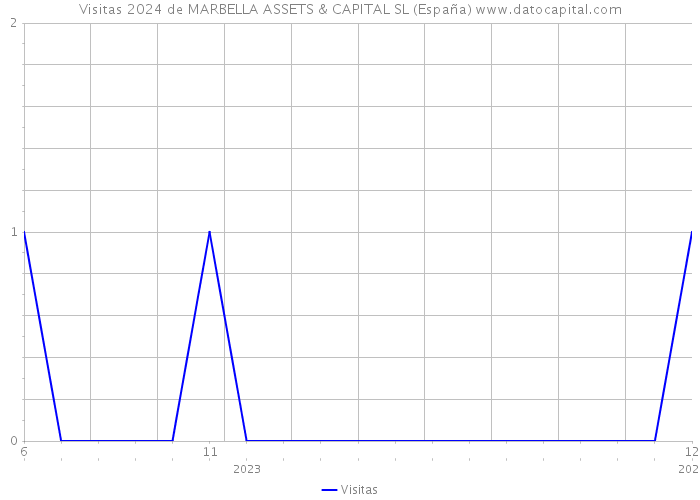 Visitas 2024 de MARBELLA ASSETS & CAPITAL SL (España) 